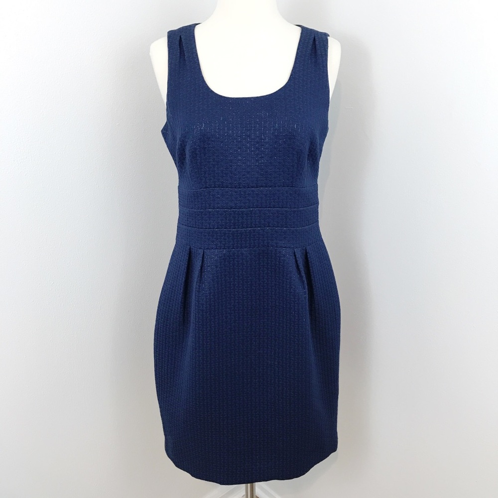 Banana Republic Navy Sheath Dress